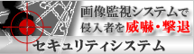 摜ĎVXeŐN҂ЊdE ZLeBVXe