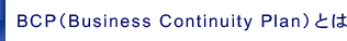 BCP(Business Continutity Plan)